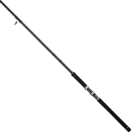 Top 10 Shore Jigging Rods Of 2022 Best Reviews Guide