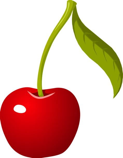 Download High Quality Cherry Clipart One Transparent Png Images Art