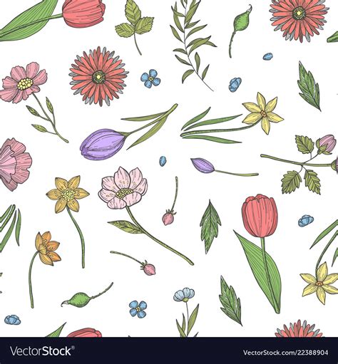 Hand Drawn Flowers Pattern Or Background Vector Image