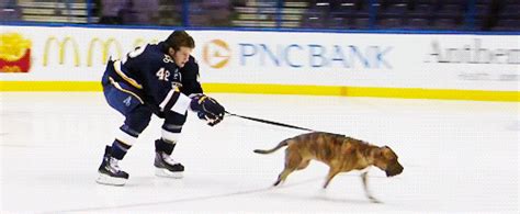 We did not find results for: Only On A Hockey Rink GIFs - Find & Share on GIPHY