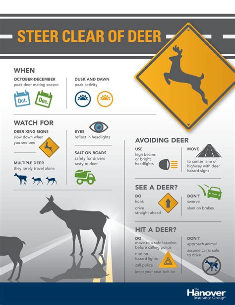 Steer Clear Of Deer The Hanover Insurance Group