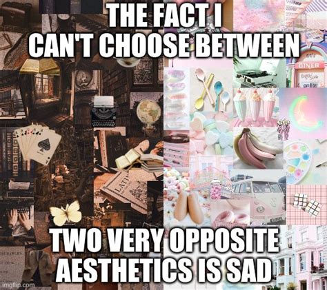 Untitled Aesthetic Memes Pastel Aesthetic Meme Aesthetic Images And
