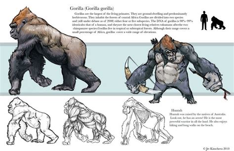 Gorilla Study By Thejettyjetshow On Deviantart In 2023 Gorillas Art