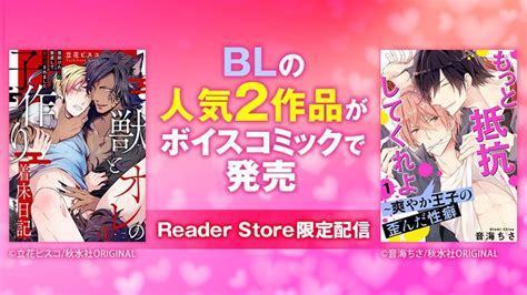 Bl Reader Store