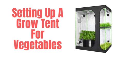 Complete Grow Tent Setup For Vegetables [7 Easy Steps]