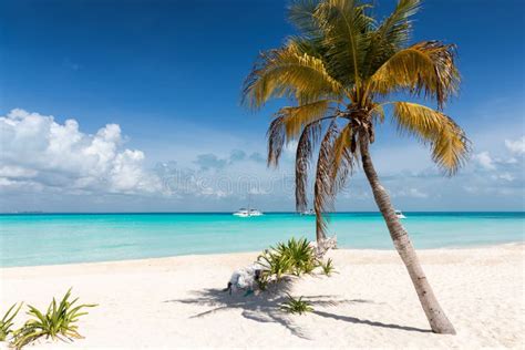 North Beach On Isla Mujeres Stock Photo Image Of Beach North 104470056