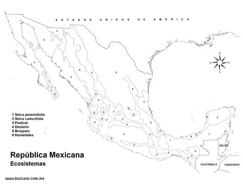 Mapa De Mexico Para Colorear Vrogue Co
