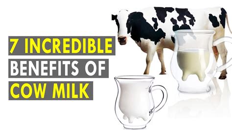 Incredible Benefits Of Cow Milk Health Sutra Best Health Tips CookeryShow Com