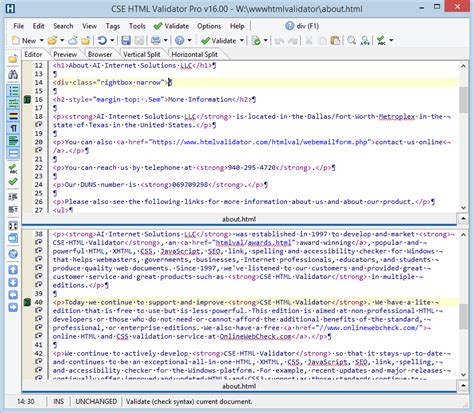 CSS HTML Validator Pro Screen Shots