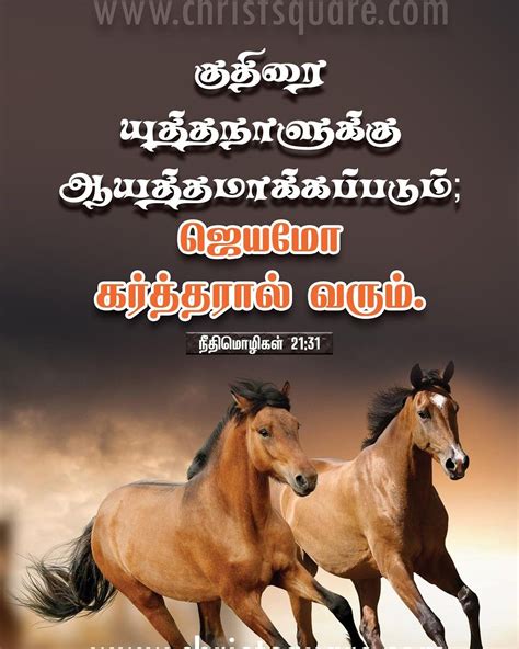 Proverbs Bible In Tamil 1200x1500 Download Hd Wallpaper Wallpapertip