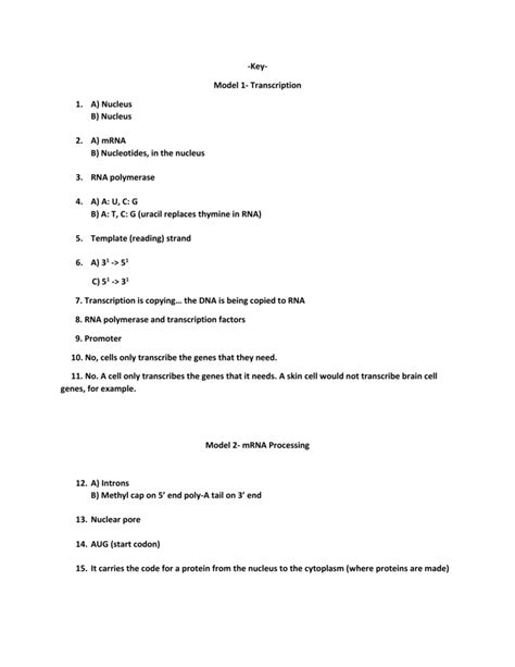 The mrna molecule moves to the ribsome. Mrna And Transcription Worksheet - Worksheet List