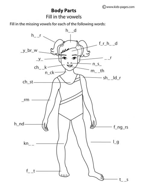 The free body diagram of a car traveling at a constant speed consists mainly of five forces, when a free body diagram is defined as an illustration that depicts all the forces acting on a body, along with. 6 Best Images of Atlas Of The Parts Worksheet - Fetal Pig Heart Diagram, Human Anatomy Rib Cage ...