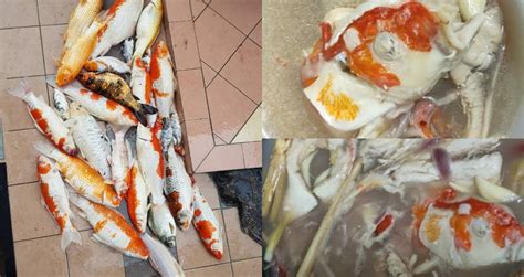 Kalau nak aku terus tinggal dekat sini, aku nak bilik lain. "Resipi Turun Temurun...," Wanita Ini Masak Sup Ikan Koi ...