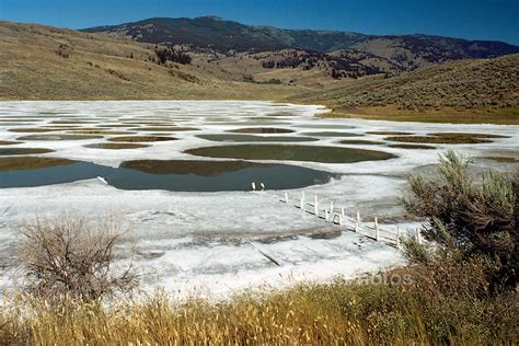 Spotted Lake Osoyoos Okanagan Valley British Columbia Pictures Images