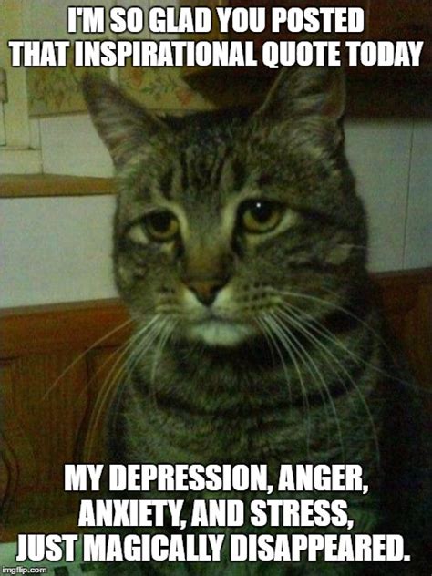 Anxiety Cat Meme Generator