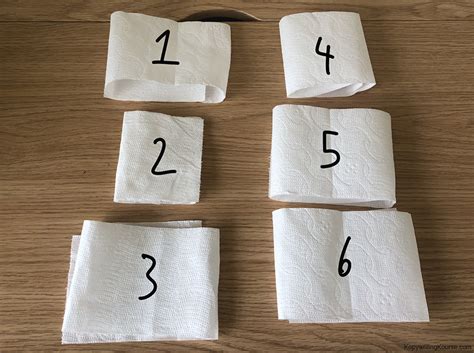 How Many Squares Of Toilet Paper Do You Use