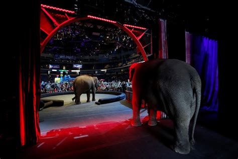 Ringling Bros Circus Elephants Take Final Bow Ending Controversial