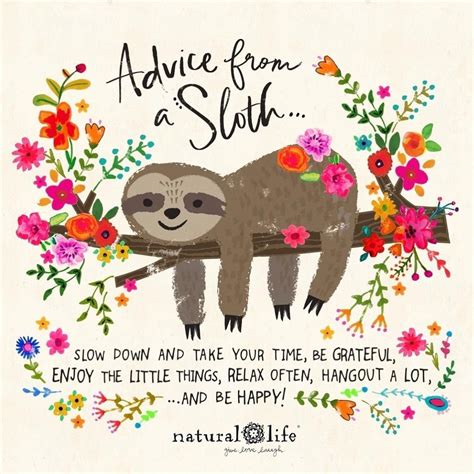 Wise Words From A Sloth Regram Via Laurab3 Natural Life Quotes Sloth Happy Quotes