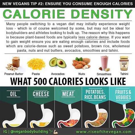 Printable Calorie Density Chart