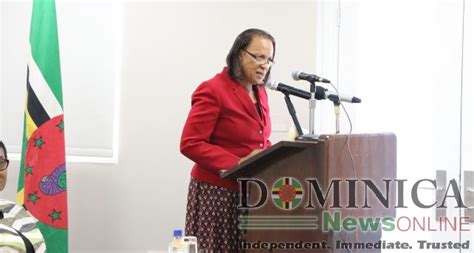Chinese Scholarship Recipients Urged To Be Envoys For Dominica Dominica News Online