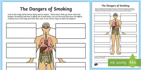 The Dangers Of Smoking Labelling Worksheet Twinkl Twinkl