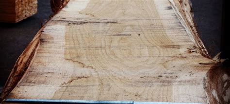 Check spelling or type a new query. TAVOLE ROVERE SLAVONIA - FALEGNAMERIA - TAVOLE