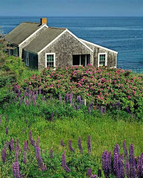 Monhegan Island Me Cottages By The Sea Beach Cottages Seaside Cottage