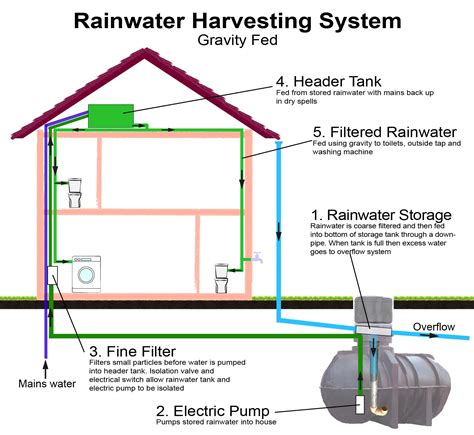 The schematic diagram is as follows : Rainwater Harvesting Systems - Great Home