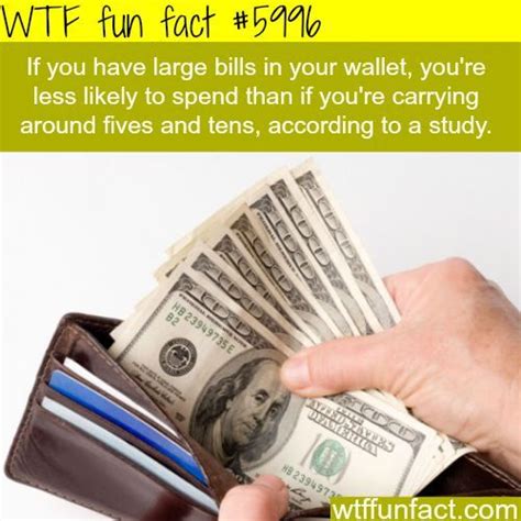 Tips On How To Save Money Wtf Fun Facts Wtf Fun Facts Fun Facts Facts