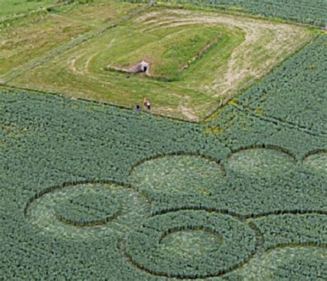 New Crop Circle Report From Somerset England Latest Ufo Sightings
