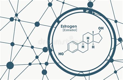 Estrogen Molecular Structure Stock Illustration Illustration Of Science Oestrogen 16357302