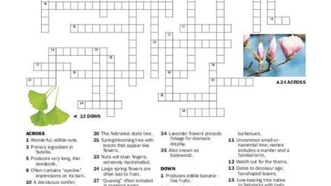 Crossword Puzzle And Clues
