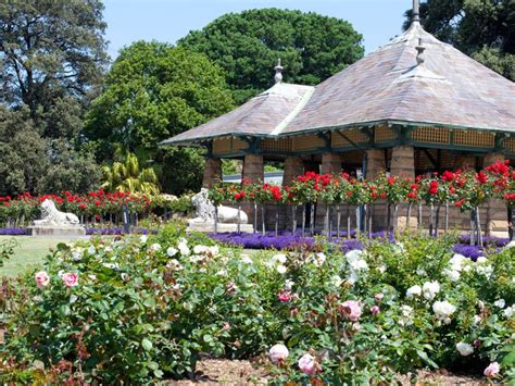 Royal Botanic Garden And The Domain Sydney Australia