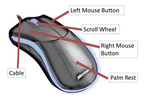 Parts Of A Mouse And Its Functions Explained With 48 Off