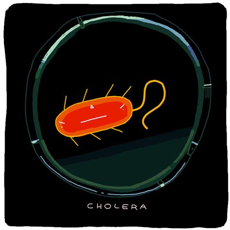 Microbe Cholera  Find And Share On Giphy