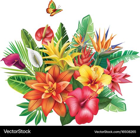 High Resolution Tropical Flower Vector Free Vector Download 2020