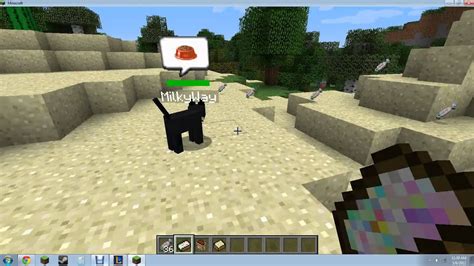 You will see the kitten almost. Minecraft Mo' Creatures Tutorial: Training Cats - YouTube