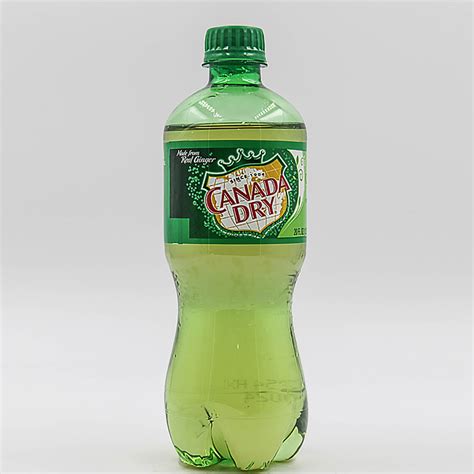 2420oz Canada Dry Ginger Ale Abe Wholesale