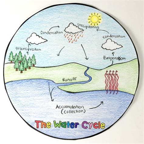 Watercyclecircle Water Cycle Craft Water Cycle For Kids Water Cycle