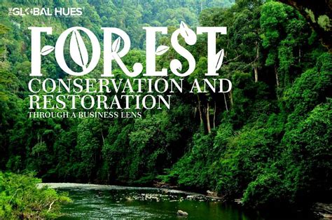 Forest Conservation And Restoration Through A Business Lens