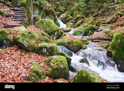 Stones Lie In The Water Hi Res Stock Photography And Images Alamy
