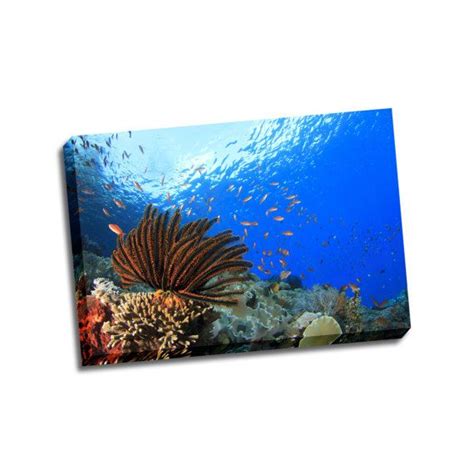 Coral Reef Tropical Canvas Sea Fish Corals Wall Art Marine Coral Wall