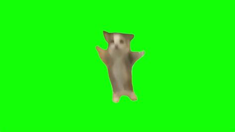 Green Screen Happy Happy Happy Cat Meme Youtube