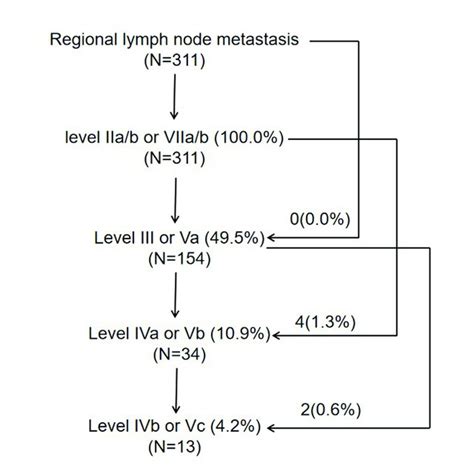 The Pattern Of Lymph Node Metastasis Download Scientific Diagram
