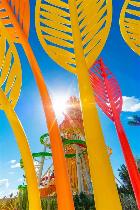 Royal Caribbeans Cococay Private Island Is A Colorful Summer Destination Royal Caribbean