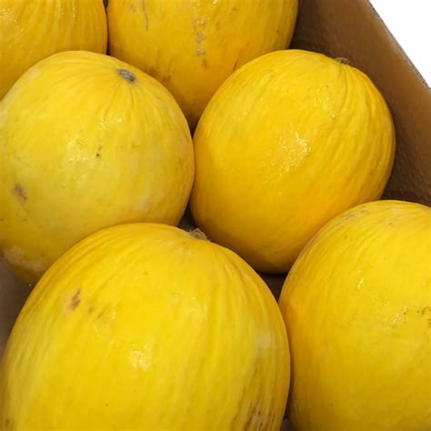 Australia Orange Candy Melon Freshalley