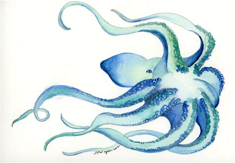 Octopus Study Print Watercolor Illustration