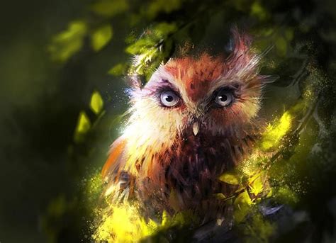 Owl By Zetsuboushi On Deviantart Owl Owl Eyes Owl Art