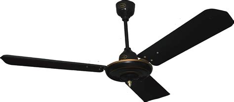 Buy Cinni 1200mm Regular Ceiling Fan Black Online At Low Prices In