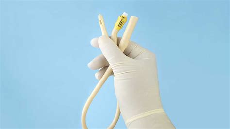 Urinary Catheters Overview Care Assessment Ausmed